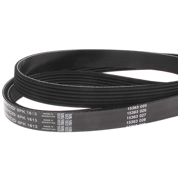 Contitech Drive Belt 202660485