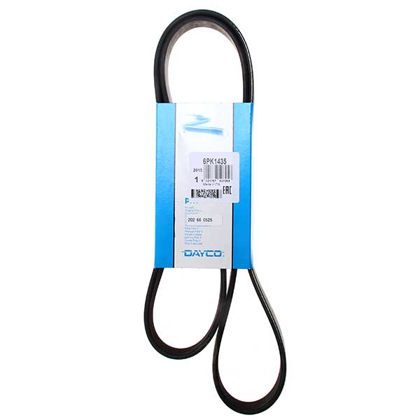 Contitech Drive Belt 202660525