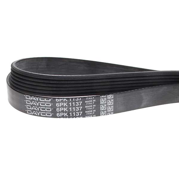 Contitech Drive Belt 202660555 Contitech Drive Belt 202660555