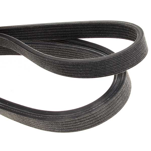Contitech Drive Belt 202660625