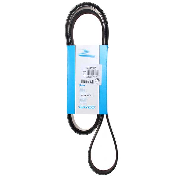 Contitech Drive Belt 202745075