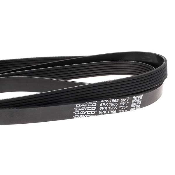 Contitech Drive Belt 202745075