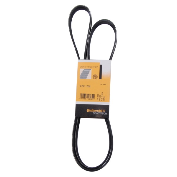 Contitech Drive Belt 202770435