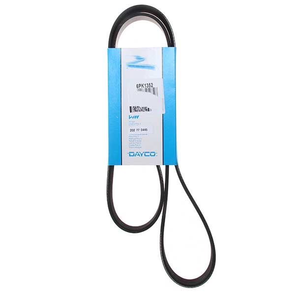 Contitech Drive Belt 202770445