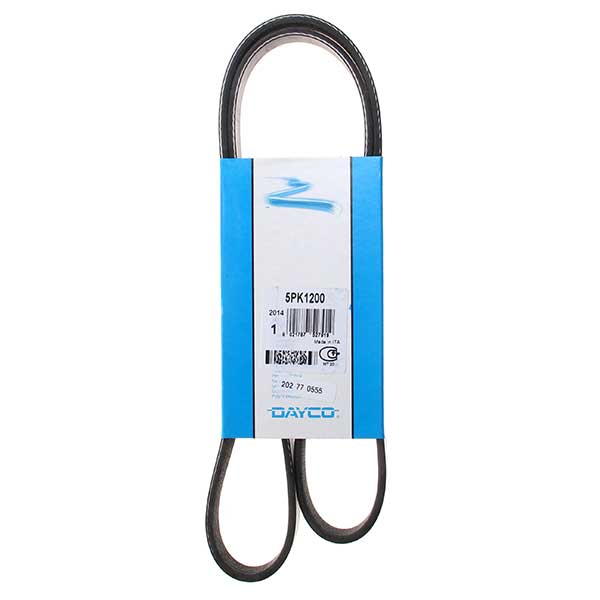 Contitech Drive Belt 202770555