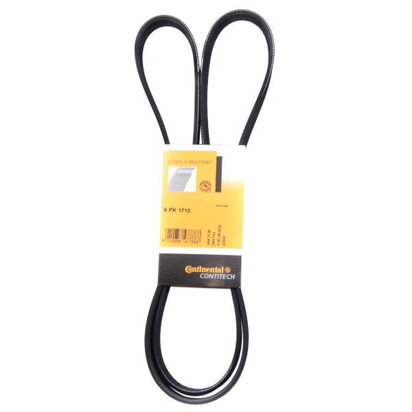 Contitech Drive Belt 202770665