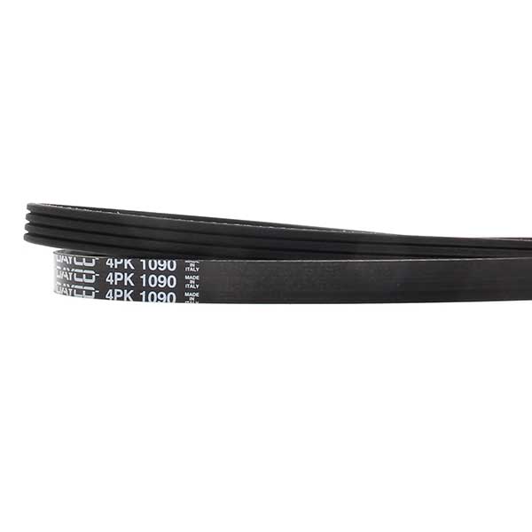 Contitech Drive Belt 202770855