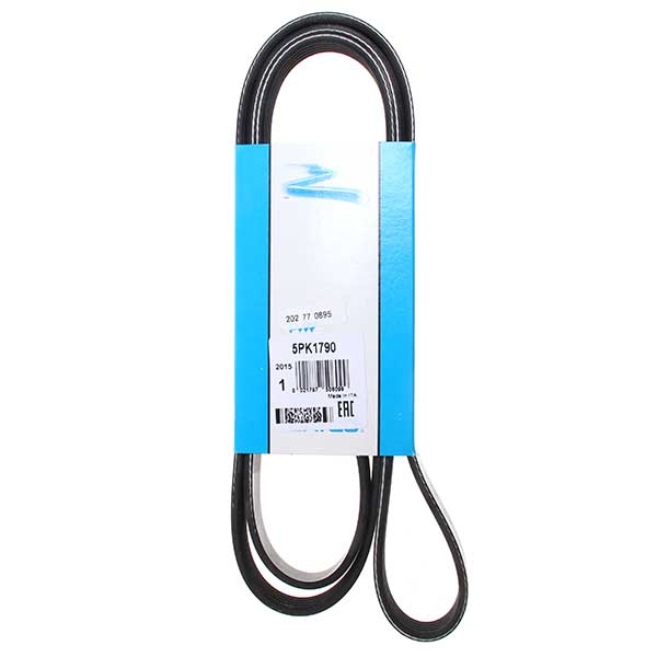 Contitech Drive Belt 202770895