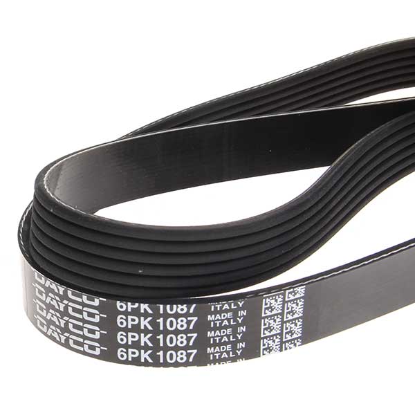 Contitech Drive Belt 202770905