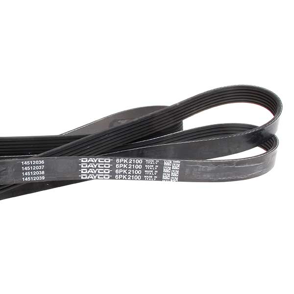 Contitech Drive Belt 202771195