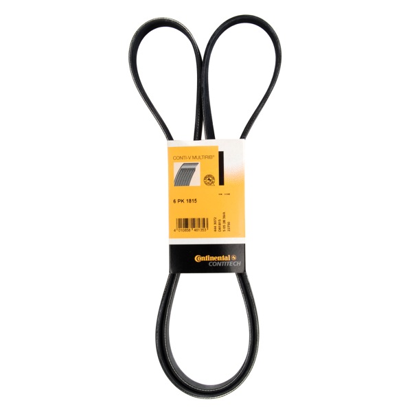Contitech Drive Belt 202771235