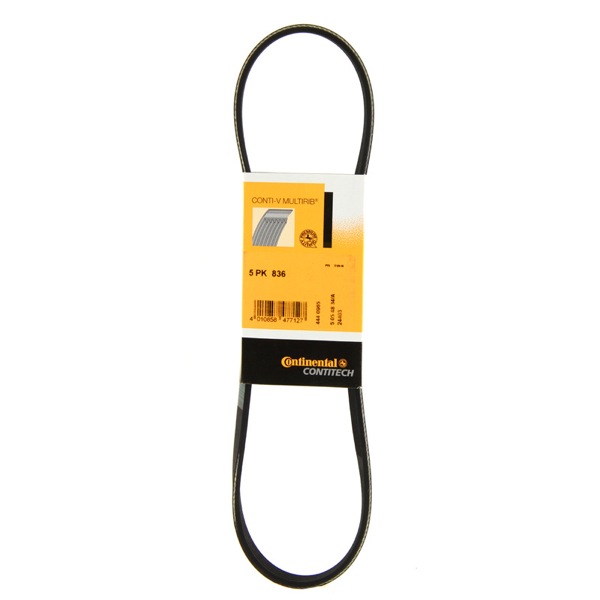 Contitech Drive Belt 202771255