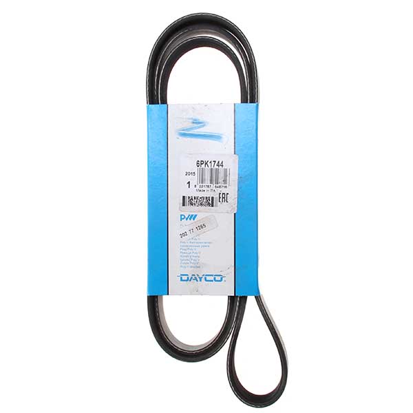 Contitech Drive Belt 202771265