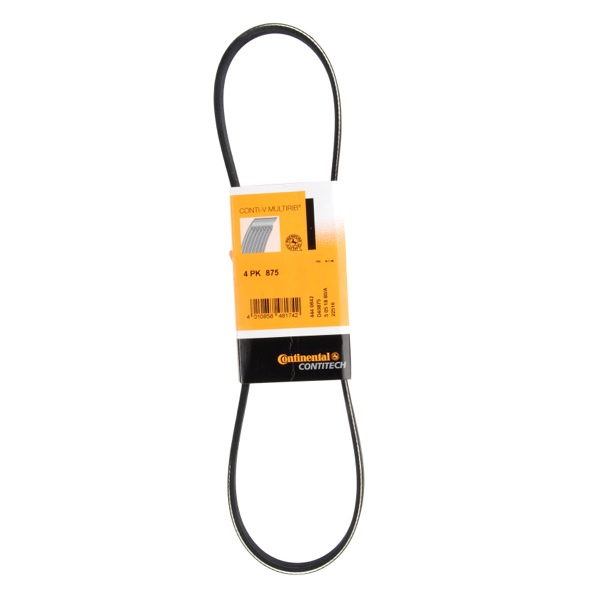 Contitech Drive Belt 202771395