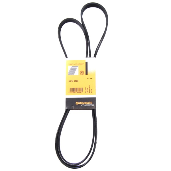 Contitech Drive Belt 202771435