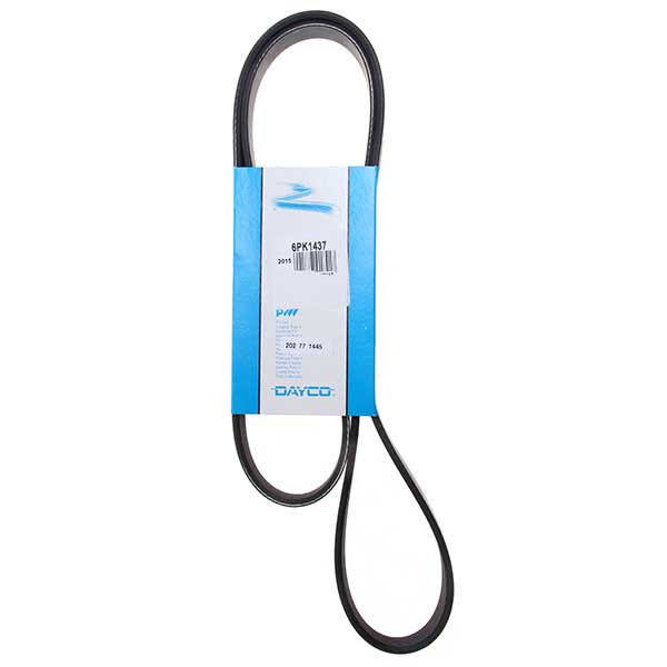 Contitech Drive Belt 202771445