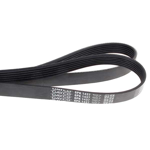 Contitech Drive Belt 202771445