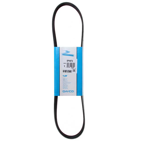 Contitech Drive Belt 202771485