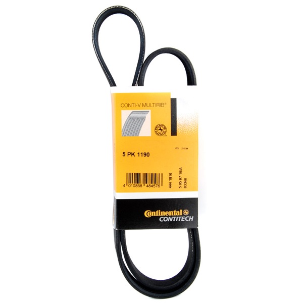 Contitech Drive Belt 202771735
