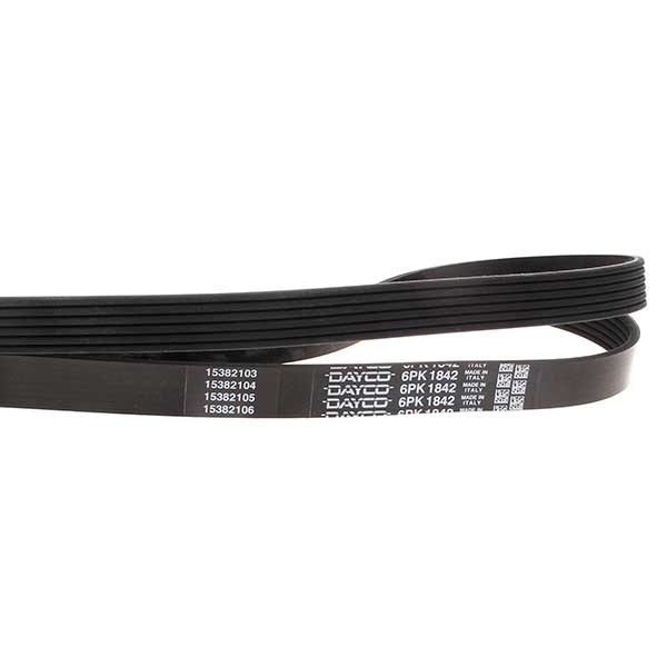 Contitech Drive Belt 202771895