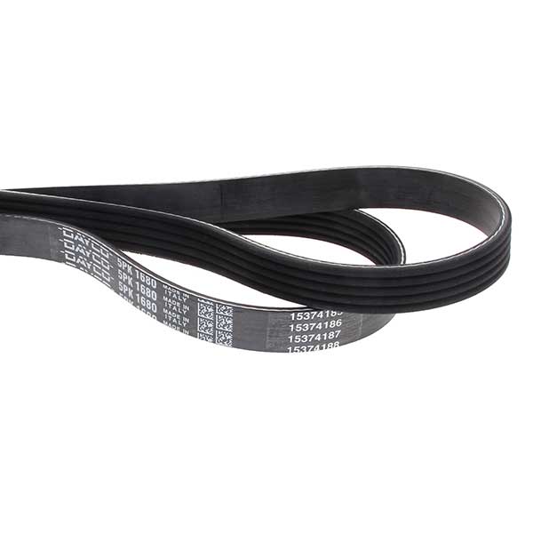 Contitech Drive Belt 202772185