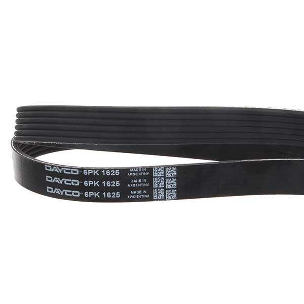 Contitech Drive Belt 202772585