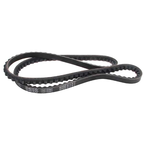 Dayco Drive Belt 202773495