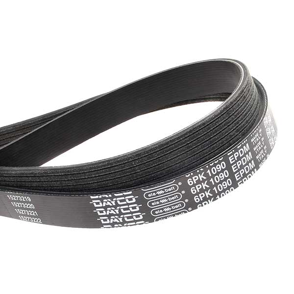 Contitech Drive Belt 202775445