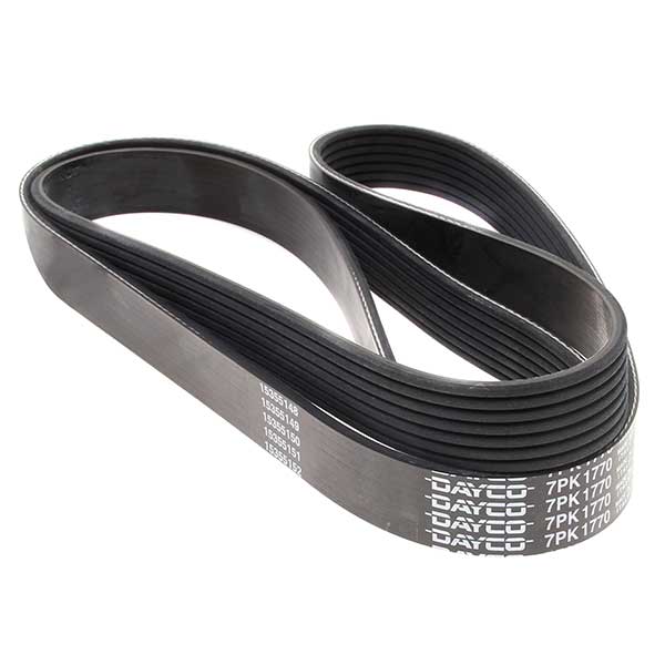 Dayco Drive Belt 202775475