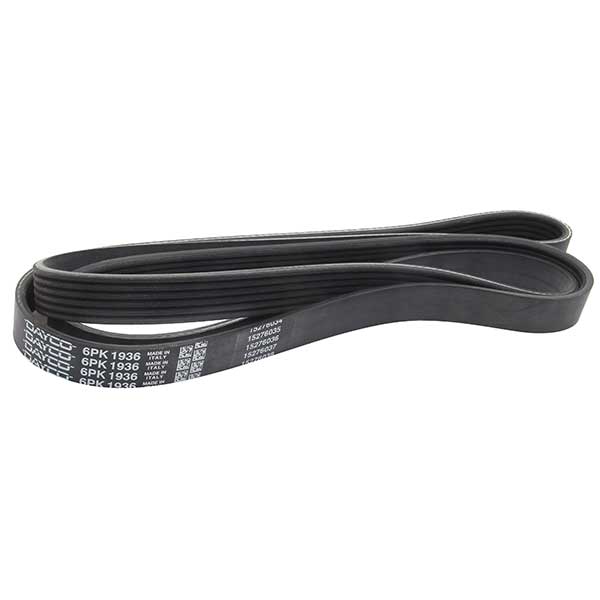 Contitech Drive Belt 202775685