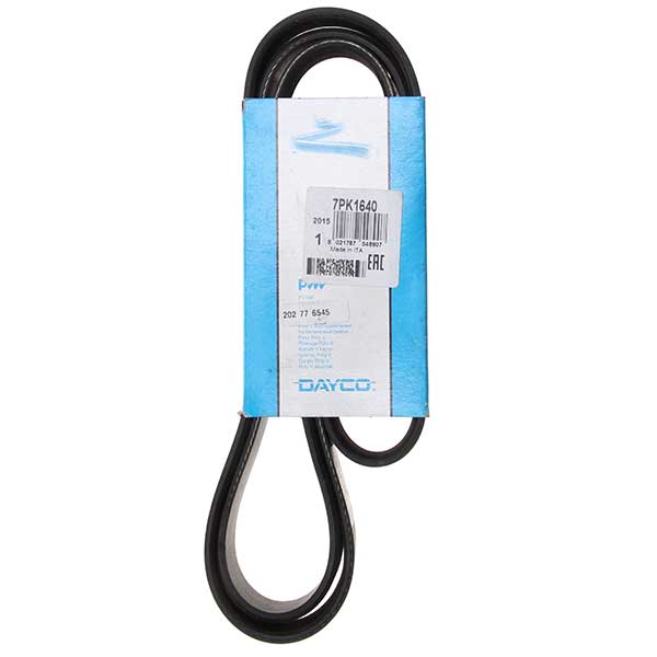 Contitech Drive Belt 202776545