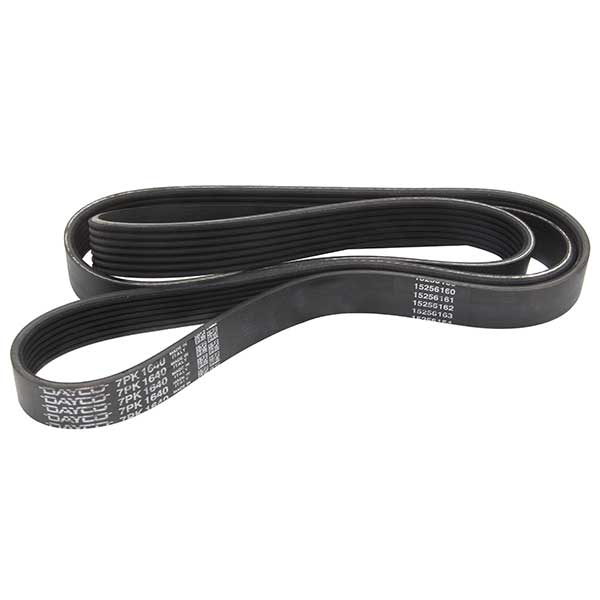 Contitech Drive Belt 202776545