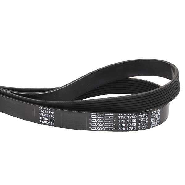 Dayco Drive Belt 202776555