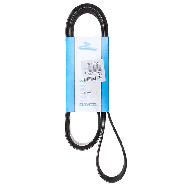Dayco Drive Belt 202776565
