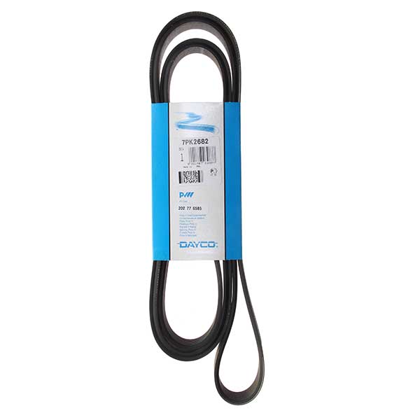 Contitech Drive Belt 202776585