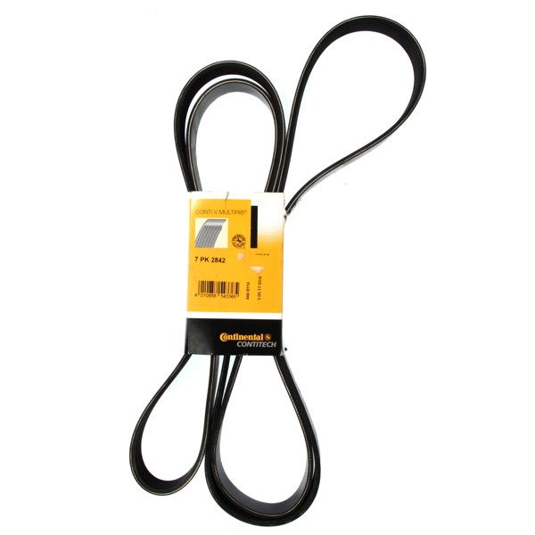 Contitech Drive Belt 202776595