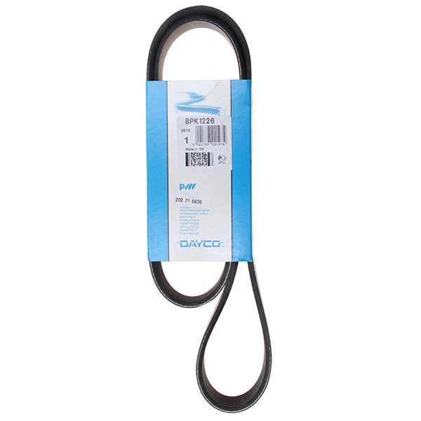 Contitech Drive Belt 202776605