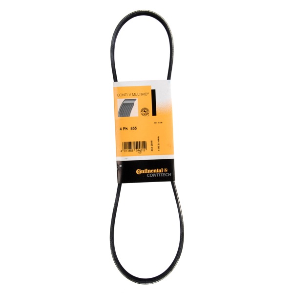 Contitech Drive Belt 202776725