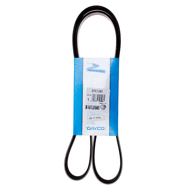 Contitech Drive Belt 202776745