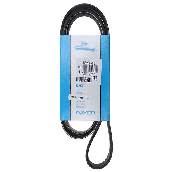 Contitech Drive Belt 202776935