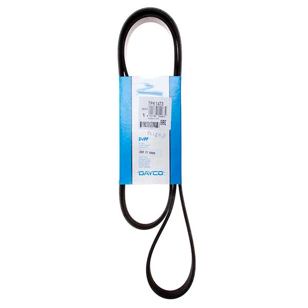 Dayco Drive Belt 202776995