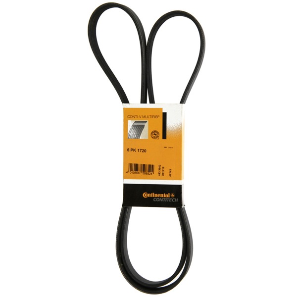 Dayco Drive Belt 202777225