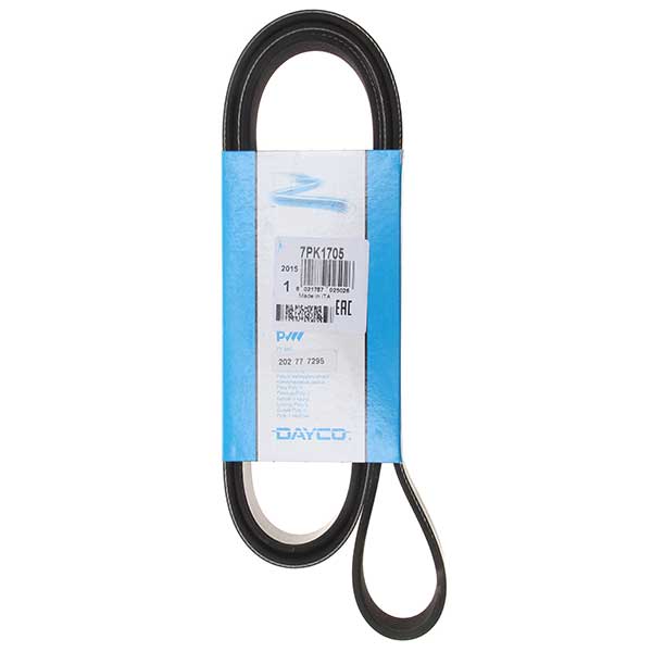 Contitech Drive Belt 202777295