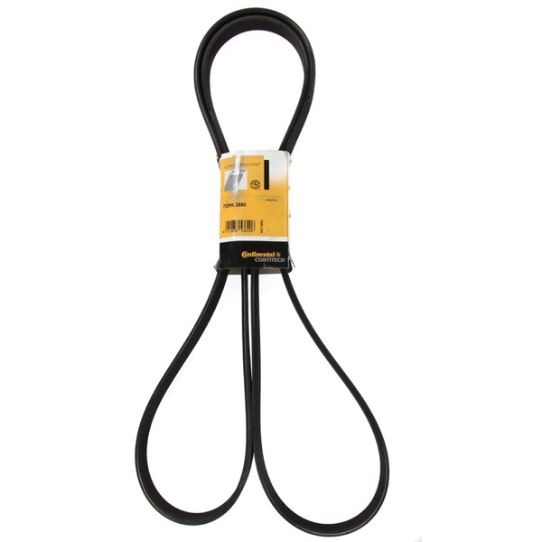 Contitech Drive Belt 202777305