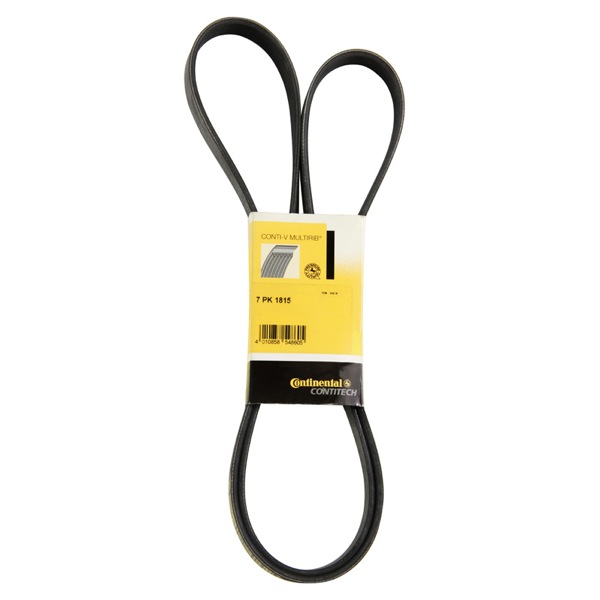 Dayco Drive Belt 202777485