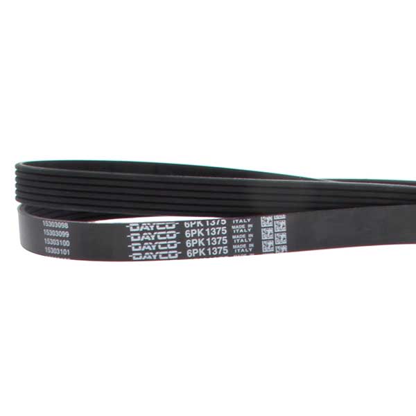 Contitech Drive Belt 202777525