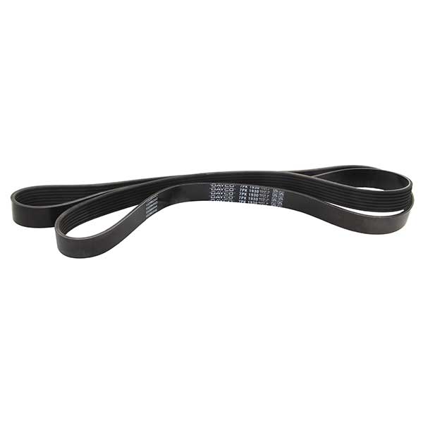 Dayco Drive Belt 202777595