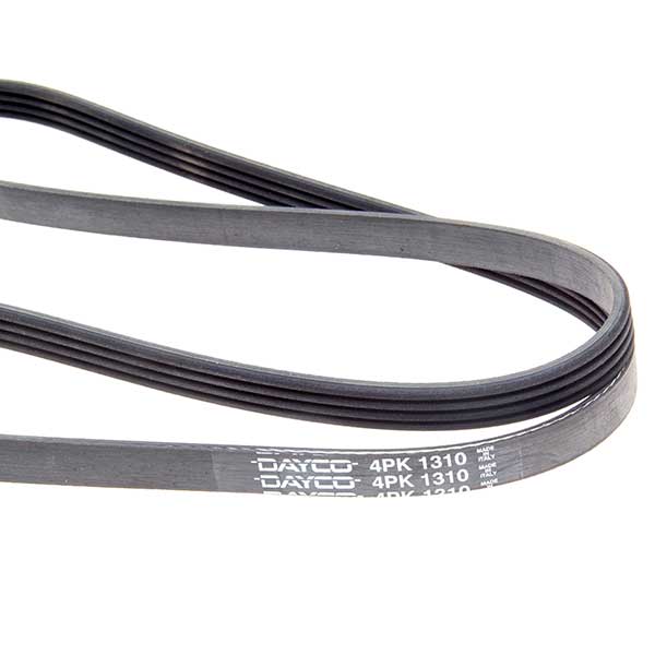 Contitech Drive Belt 202778425