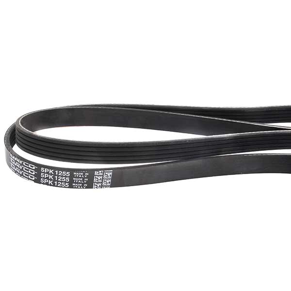 Contitech Drive Belt 202778595