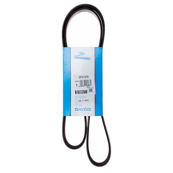 Contitech Drive Belt 202778625